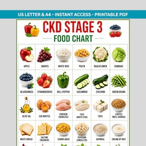 CKD Stage 3 Food Chart, Kidney Diet Food List, Renal Grocery Guide, Kidney Disease Meal Planner Printable PDF
