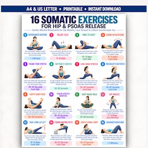 Può includere: Un grafico stampabile intitolato 16 Somatic Exercises for Hip & Psoas Release. Presenta sedici illustrazioni numerate di una persona che esegue vari esercizi di stretching e movimenti, ciascuno con testo descrittivo e numero di ripetizioni.
