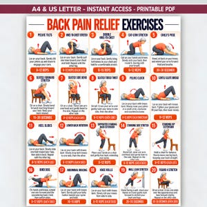 Exercices pour soulager les douleurs dorsales chez les seniors : programme imprimable, entraînement à domicile doux pour débutants, affiche de yoga sur chaise pour hommes âgés, étirements du bas du dos (PDF).