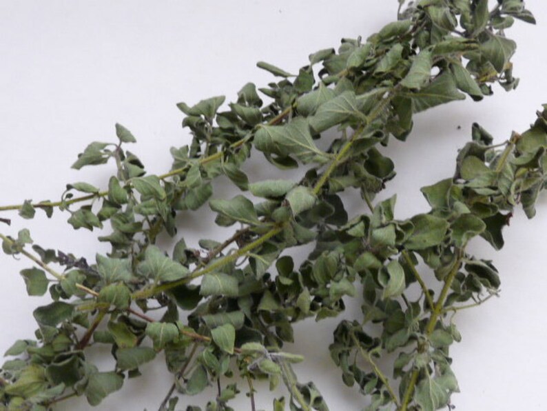 Dried Grown//whole Leaf Etsy