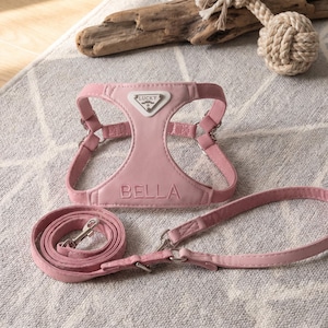 May include: Pink dog harness and leash set. The harness has the name "BELLA" embroidered on it, with a "LUCKY" logo. The leash and harness are made of a soft material and have silver-colored metal hardware. A dog toy is in the background.