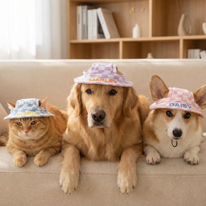 以下が含まれることがあります： ベージュのソファに、チェック柄のバケットハットをかぶった猫、ゴールデンレトリバー、コーギーがいます。帽子はパステルカラーで、「MARLEY」と「DAISY」の名前がプリントされています。