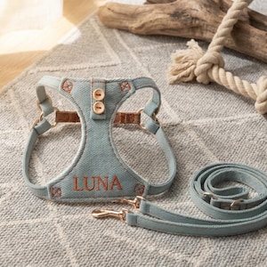 May include: A light blue dog harness and leash set with the name "LUNA" embroidered in orange. The harness has brown leather accents and gold-colored metal hardware. A beige rope toy is also visible.