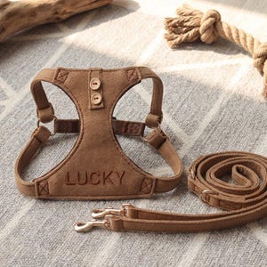 May include: A brown dog harness and leash set. The harness has the word "LUCKY" embroidered on the front and fastens with two buttons. The matching leash is coiled next to the harness. A dog toy is in the background.