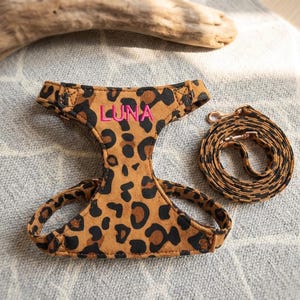 Conjunto de coleira e guia personalizadas para cães com estampa de leopardo, nome bordado à mão, colete para animais de estimação com estampa de animais selvagens, presente personalizado para cães, tamanhos XXS a M.