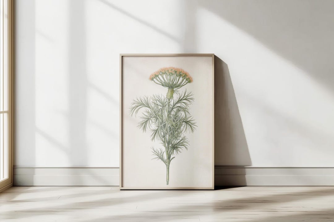 Antique Botanical Flower Art Print | Vintage Floral Wall Decor | Herbal ...