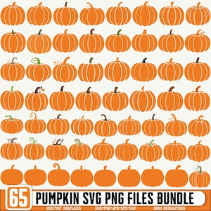 Pumpa Svg Png, Höstpumpa Svg, Thanksgiving Svg, Höstdesigner, Pumpa Clipart, Blommig Pumpa Svg Png, Pumpa för Cricut Silhuett