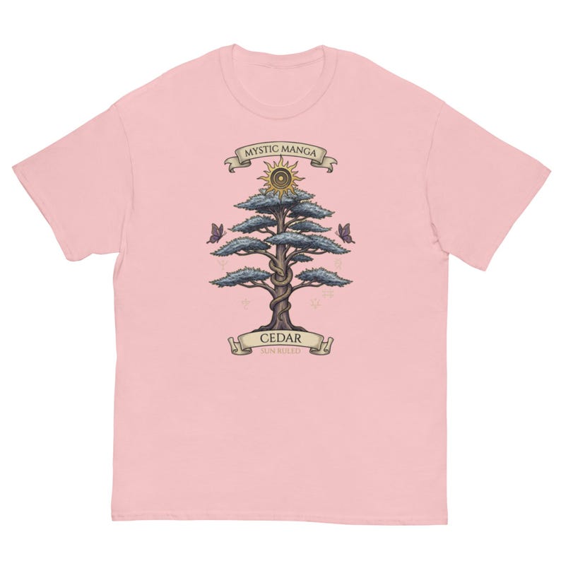 T-shirt classique unisexe