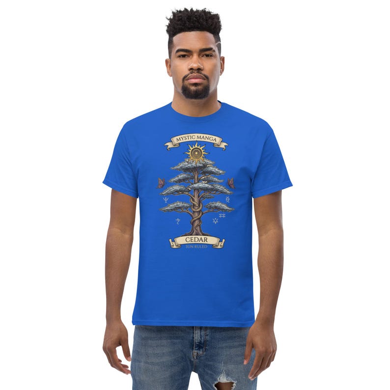 T-shirt classique unisexe