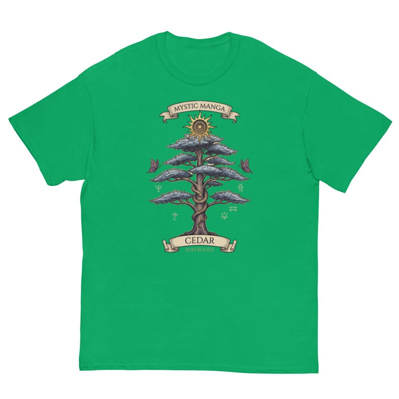 T-shirt classique unisexe