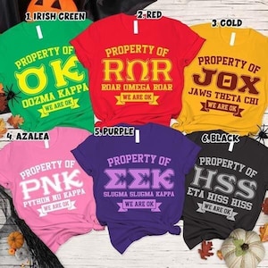 May include: Six short-sleeved t-shirts in green, red, yellow, pink, purple, and black. Each shirt features the text Property of, a three-letter acronym, a fictional fraternity name, and the banner text We Are OK printed in a contrasting color.