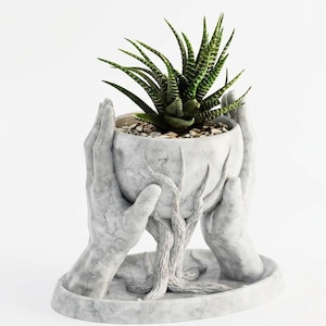 Może przedstawiać: Szary, marmurowy doniczka w kształcie dłoni trzymających roślinę sukulentową. Roślina ma zielone, spiczaste liście. Doniczka stoi na pasującej owalnej podstawie z teksturowanym, drzewiastym wzorem.
