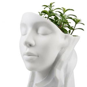 Maceta con rostro zen, jarrón con cabeza de diosa serena, decoración minimalista para jardín interior, maceta para suculentas con rostro, arte para sala de meditación