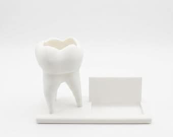 Visitenkartenhalter und Stifthalter in Form eines Backenzahns, Dekoration für Zahnarztpraxen, Geschenk zur Abschlussfeier für Dentalhygieniker/innen, Einzigartiger Organizer für den Empfangsbereich in der Zahnarztpraxis
