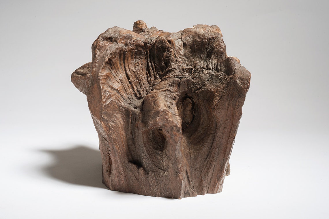 Museum Quality Petrified Wood Bookends Etsy