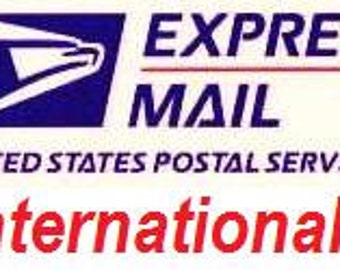 USPS EMS shipping ( Express Mail Shipping), fast shipping, extra fee for express shipping