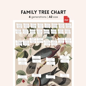 Printable A2 Family Tree Poster – Illustrated Vintage Tree – 6 Generations