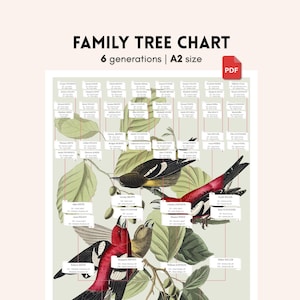 A2 Customizable Family Tree Poster – Unique Illustrated Tree – 6 Generations