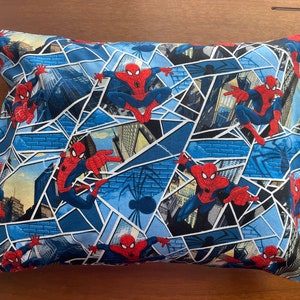 Spiderman Action Pillowcase — Everyday Embellished