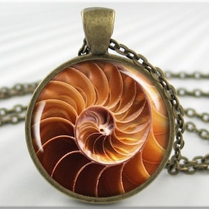Seashell Art Pendant, Ocean Seashore Jewelry, Ocean Beach Necklace, Seashell Jewelry, Round Bronze, Picture Pendant, Beach Vacation 091RB