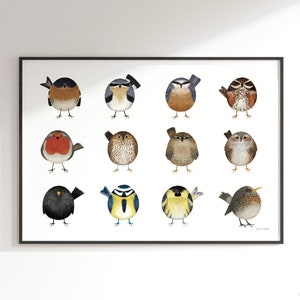 Póster de pájaros de jardín / Impresión horizontal en tamaño A2 o A1 / 12 pájaros británicos ilustrados