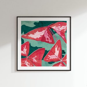 False Shamrock Square Art Print: 300mm / 600mm Oxalis triangularis, botanical, house plant image 1