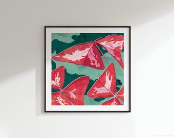 False Shamrock Square Art Print: 300mm / 600mm | Oxalis triangularis, botanical, house plant