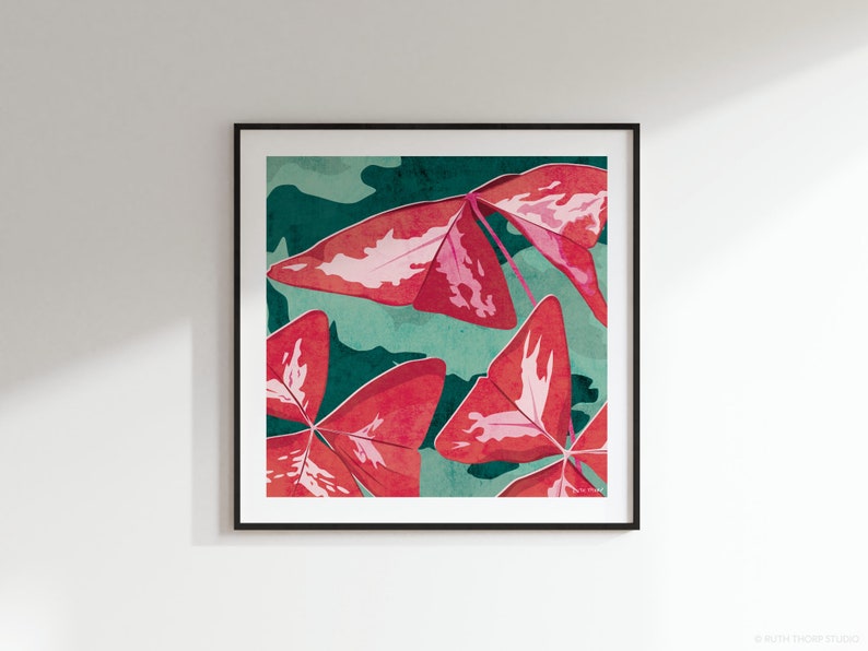 False Shamrock Square Art Print: 300mm / 600mm Oxalis triangularis, botanical, house plant image 1