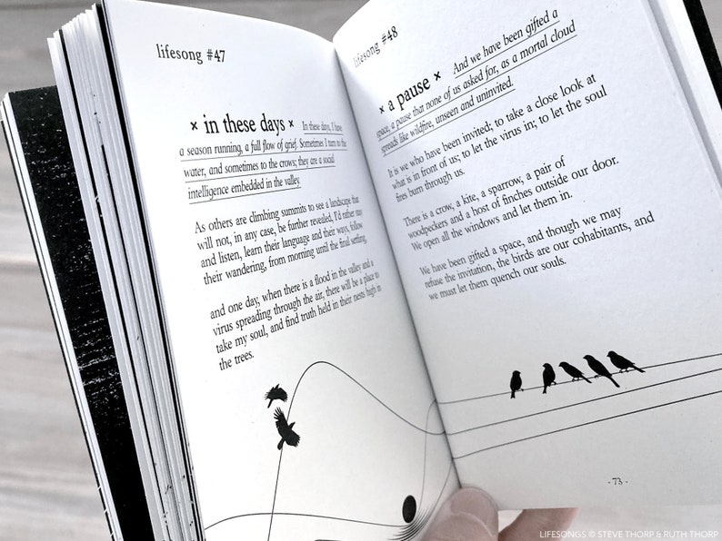 Lifesongs by Steve Thorp. Illustrated & designed by Ruth Thorp. Poetry. image 4