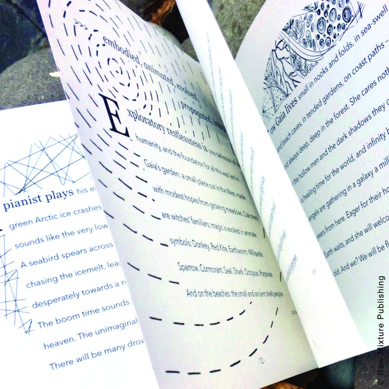 Blue Marble Illustrated Eco Poem by Steve Thorp. Illustrated Etsy