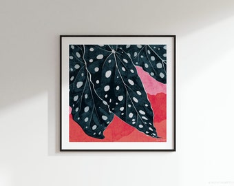 Polka Dot Begonia | Begonia Maculata Botanical Square Art Print: 300mm / 600mm