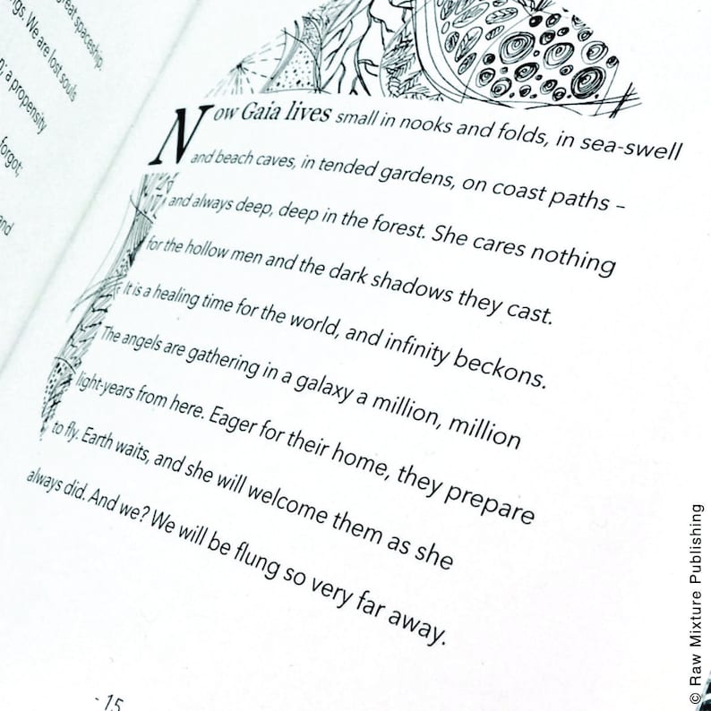 Blue Marble Illustrated Eco Poem by Steve Thorp. Illustrated Etsy