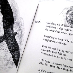 May include: Black and white image of a bird in flight with text that reads: "One thing we all learn from meditation is that there is more to the world than we can ever see. Everything is born of flesh, bone, imagination, archetype. Even the land is imagined as creaturely. Each lifeform re-imagined as a soul in itself. (Fly. Spider. Sparrow. Peregrine. Kite. Fox. Wolf. River Dolphin.) And the earth"