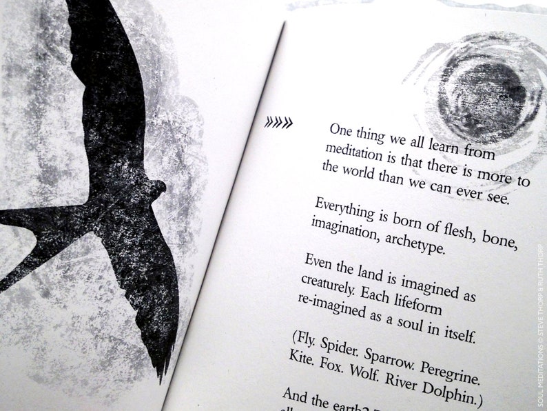 May include: Black and white image of a bird in flight with text that reads: "One thing we all learn from meditation is that there is more to the world than we can ever see. Everything is born of flesh, bone, imagination, archetype. Even the land is imagined as creaturely. Each lifeform re-imagined as a soul in itself. (Fly. Spider. Sparrow. Peregrine. Kite. Fox. Wolf. River Dolphin.) And the earth"