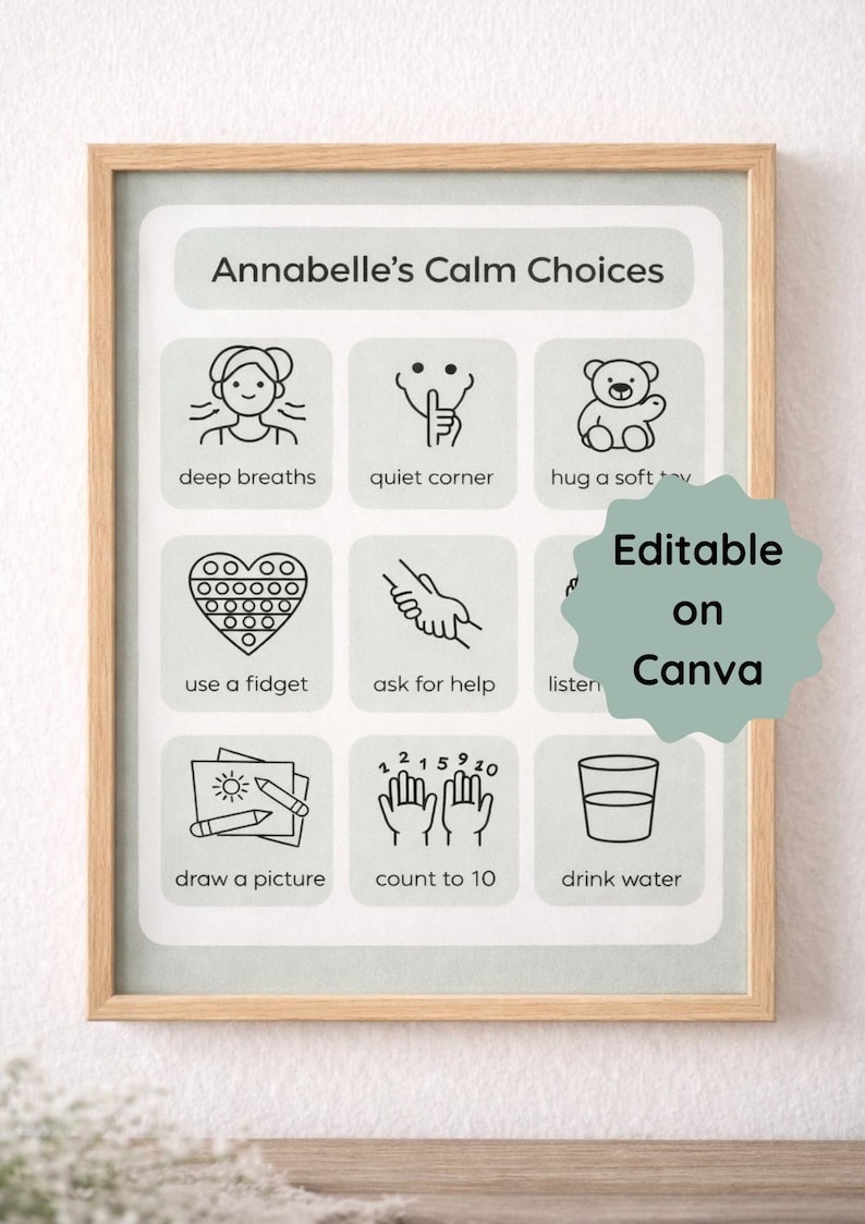 Pack of Visual Routine Calm Charts | Autism, ADHD (editable Canva A4 ...