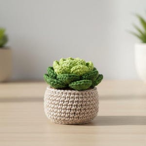 Op de afbeelding: Een gehaakte vetplant in een beige pot. De plant heeft lagen groene bladeren, met lichter groen aan de bovenkant en donkerder groen aan de basis. De pot heeft een eenvoudig, rond ontwerp.