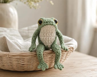 PDF haakpatroon kikker amigurumi, zelfstudie schattige kikker plushie, eenvoudig haakpatroon voor beginners digitale download