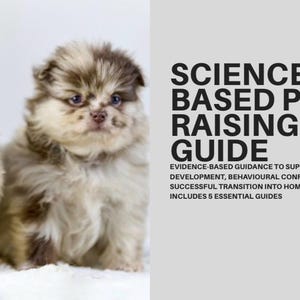 Vetenskapsbaserad guide för valpuppfödning, handbok för nya ägare (PDF-nedladdning)