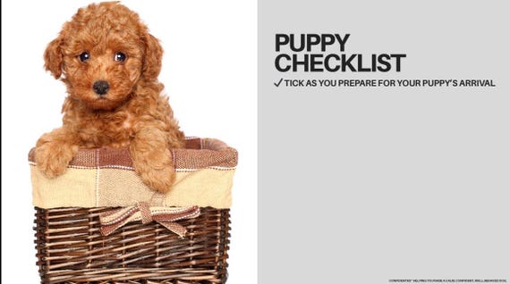 New Puppy Checklist, Dog Owner Guide (PDF Downloadable)