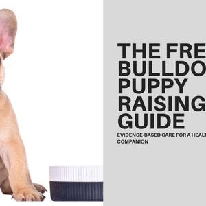 Guide till valpträning för fransk bulldogg | Handbok för beteende och skötsel (PDF-nedladdning)