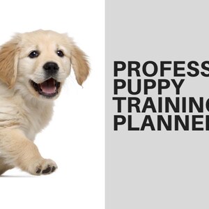 Valpträningsplanerare, utvecklingsspårare, guide för nya hundägare (PDF)