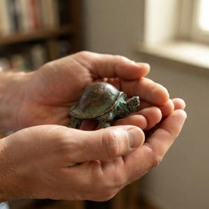 Peut inclure: Une petite figurine de tortue en bronze patiné, présentant des nuances de brun et de vert oxydé. La tortue est représentée dans une position de marche avec une carapace arrondie et une tête détaillée, reposant dans le creux des mains.