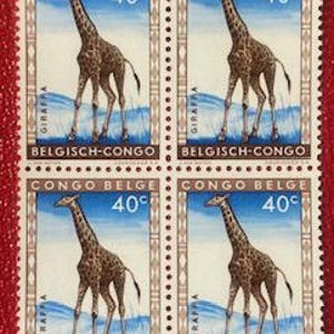 Op de afbeelding: Een vel van vier postzegels met een giraffe. Elke postzegel toont een bruine giraffe tegen een blauw-witte achtergrond. De postzegels zijn gemarkeerd met "CONGO BELGE" en "BELGISCH-CONGO" met een waarde van "40".