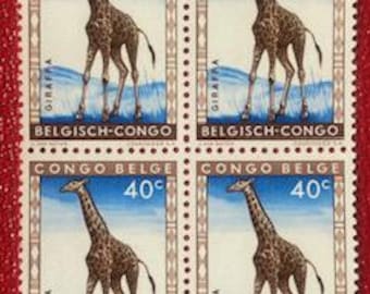 Bloque de cuatro sellos postales definitivos de la jirafa SC-308 del Congo de Bélgica de 1959, sin usar.