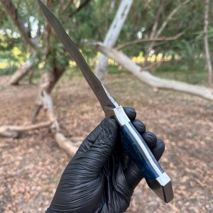 May include: A fixed-blade knife with a pointed metal blade and a handle featuring a deep blue, textured material with silver-colored metal accents at the bolster and pommel, held by a hand wearing a black nitrile glove.