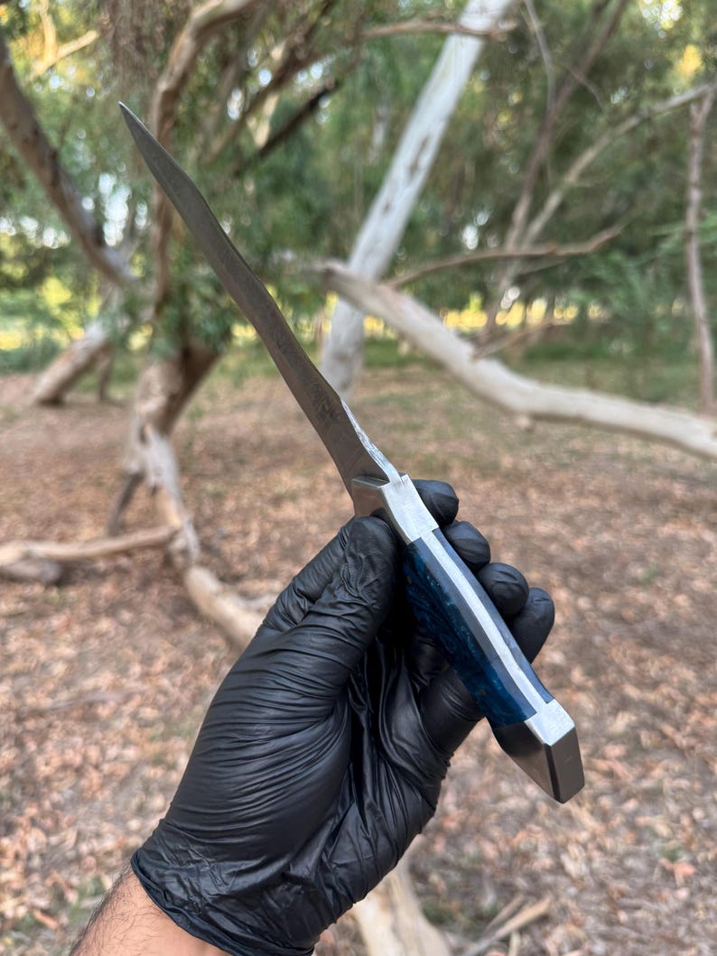 May include: A fixed-blade knife with a pointed metal blade and a handle featuring a deep blue, textured material with silver-colored metal accents at the bolster and pommel, held by a hand wearing a black nitrile glove.