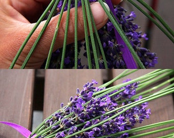 DE VACACIONES, Decoración rústica Varita de lavanda orgánica Regalo de boda de lavanda para novia Flores secas de lavanda Regalo de boda Varita de boda