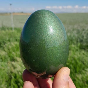 Puede incluir: Un objeto con forma de huevo verde metálico, sostenido en una mano, sobre un fondo de hierba verde y cielo azul. El huevo tiene una superficie brillante y texturizada con un efecto brillante, que refleja la luz. El tema general es decorativo.