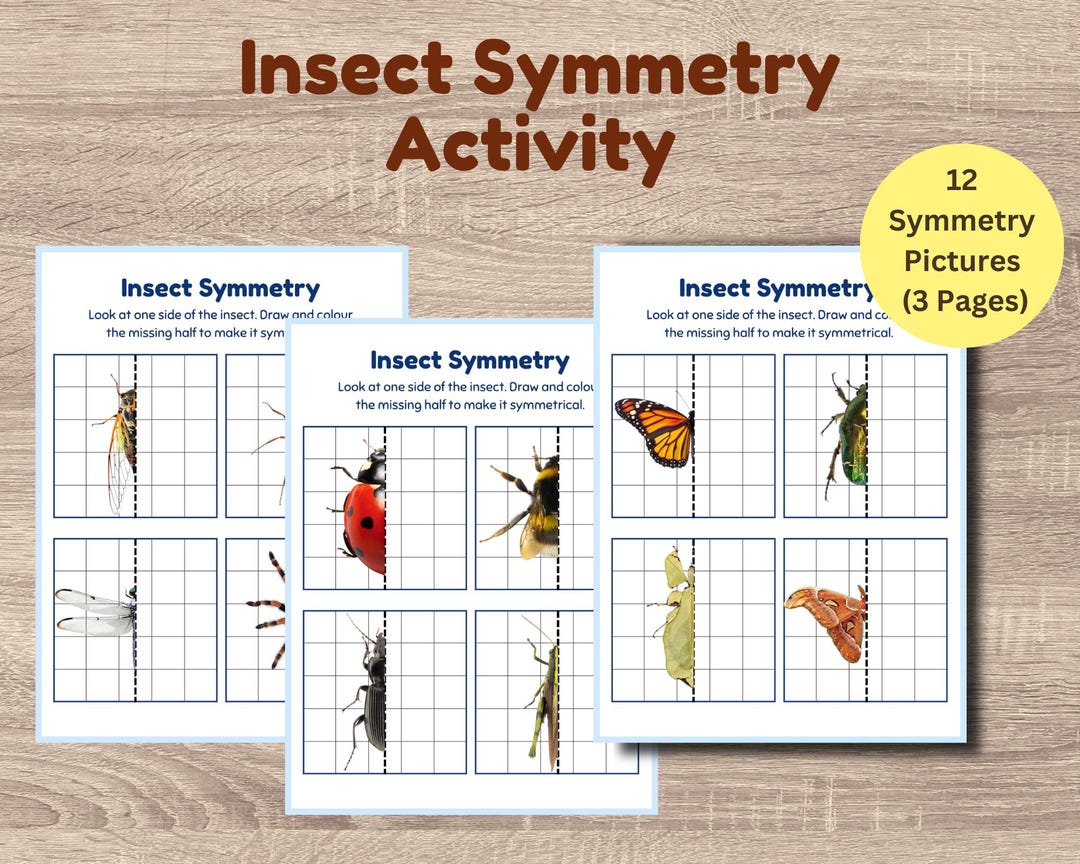 Insect Symmetry Worksheets | Draw the Missing Half Printable | Bug ...