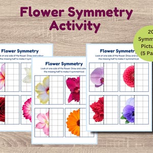 Actividad de simetría floral / Dibuja la mitad que falta (imprimible) / Hoja de trabajo de aprendizaje de primavera / Preescolar y jardín de infancia